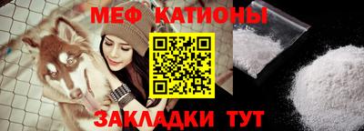 стафф Кингисепп