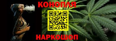 стафф Кингисепп
