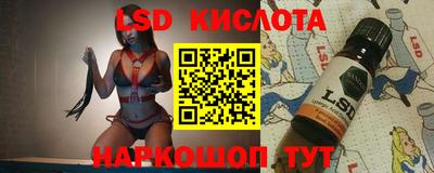 стафф Кингисепп