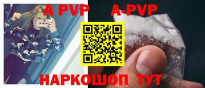стафф Кингисепп