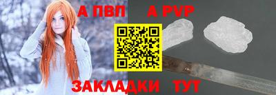 стафф Кингисепп
