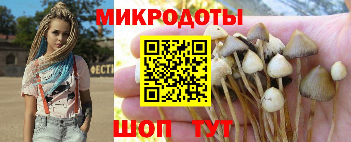 Псилоцибиновые грибы прущие грибы Ялта