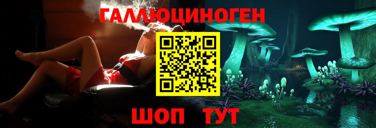 Ялта  Псилоцибиновые грибы Psilocybe  Вход с VPN 